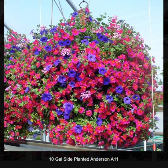 10 Gallon Anderson Basket- a11