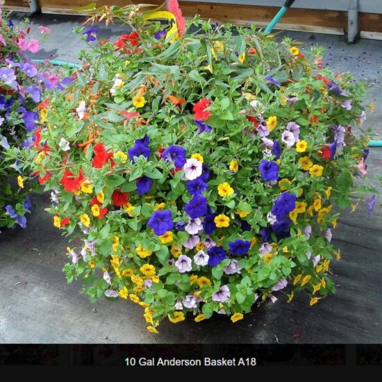 10 Gallon Anderson Basket- a18