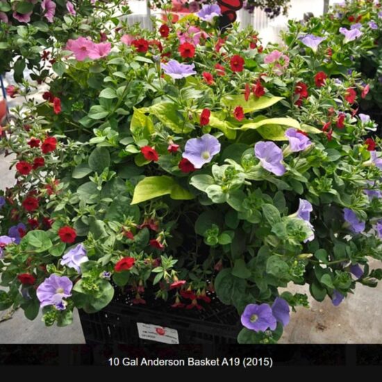 10 Gallon Anderson Basket- a19-2015