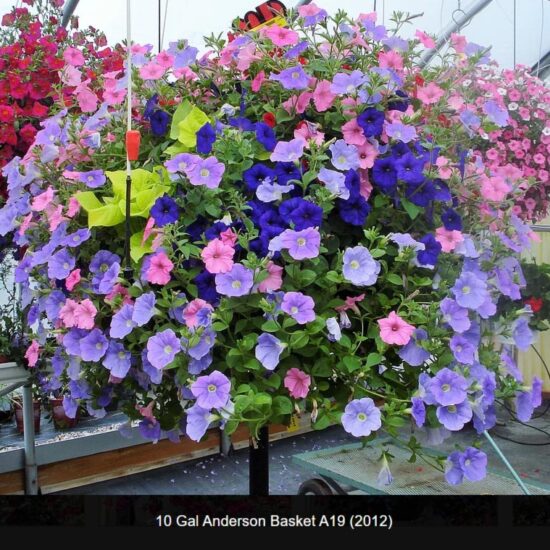 10 Gallon Anderson Basket- a19