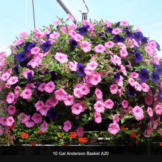 10 Gallon Anderson Basket- a20