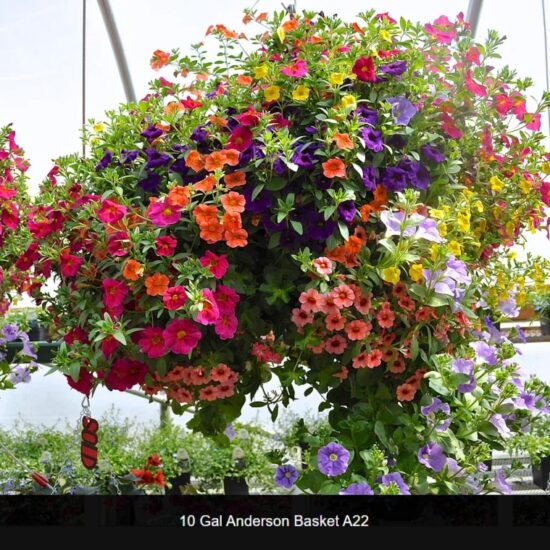 10 Gallon Anderson Basket- a22
