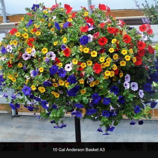 10 Gallon Anderson Basket- a3