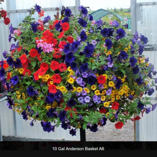 10 Gallon Anderson Basket- a6