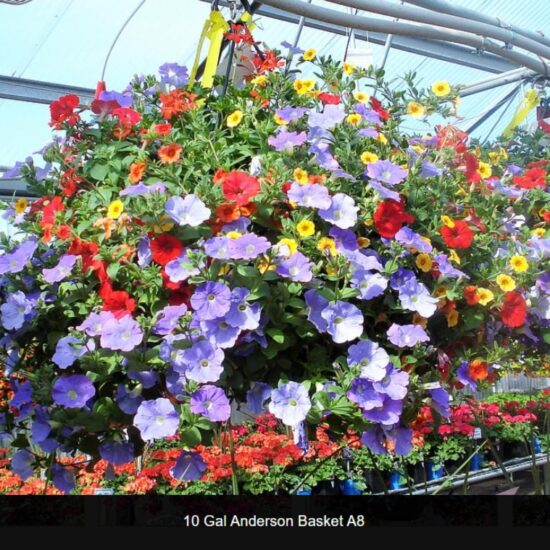 10 Gallon Anderson Basket- a8