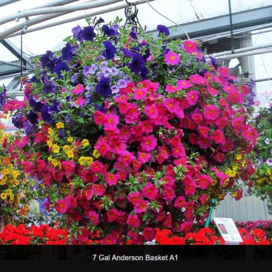 7 Gallon Flower Baskets