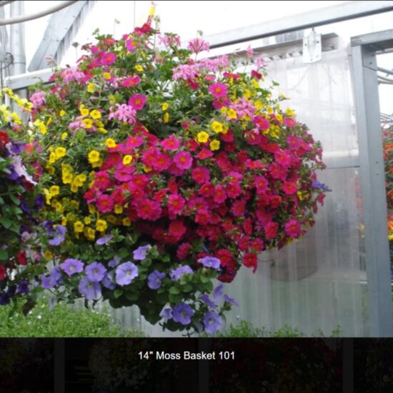 14 Inch Flower Baskets
