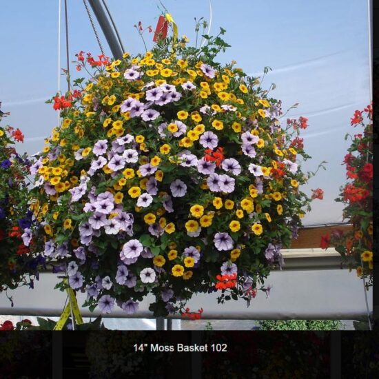 14 inch moss flower basket-102