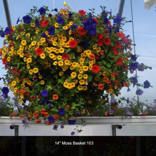 14 inch moss flower basket-103
