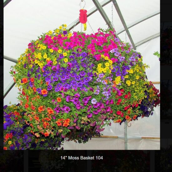 14 inch moss flower basket-104