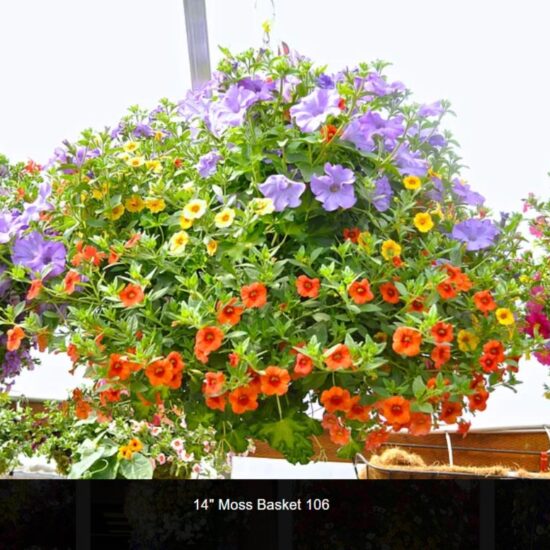 14 inch moss flower basket-106
