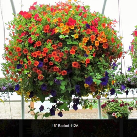 16 Inch Flower Baskets