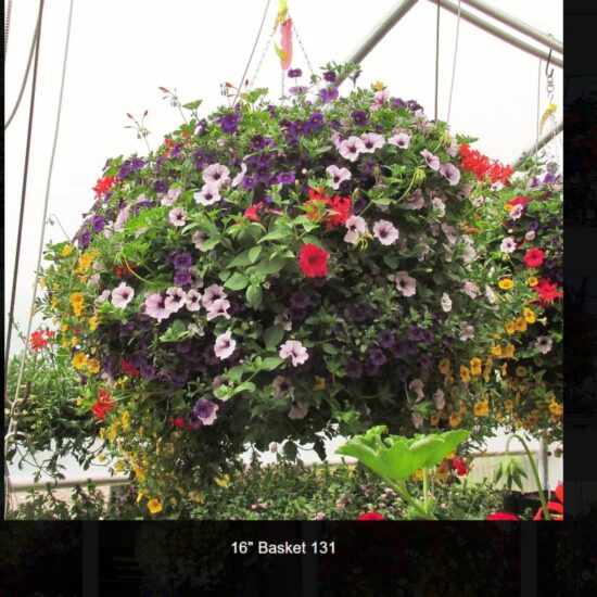 16 inch moss flower basket-131