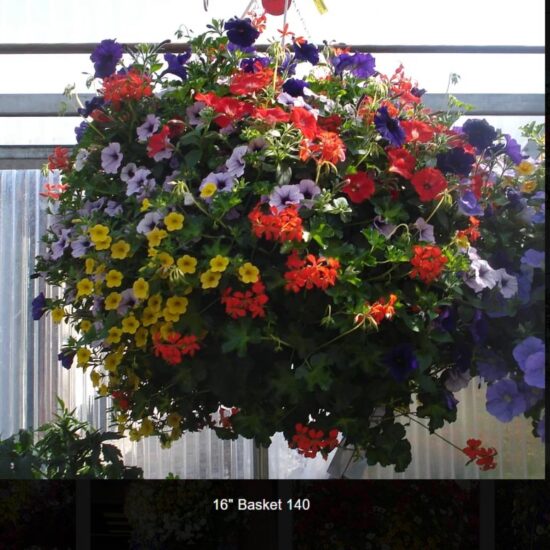 16 inch moss flower basket-140
