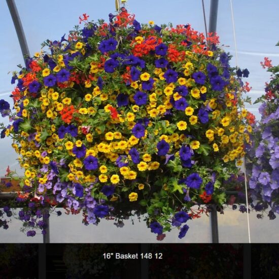 16 inch moss flower basket-148-12