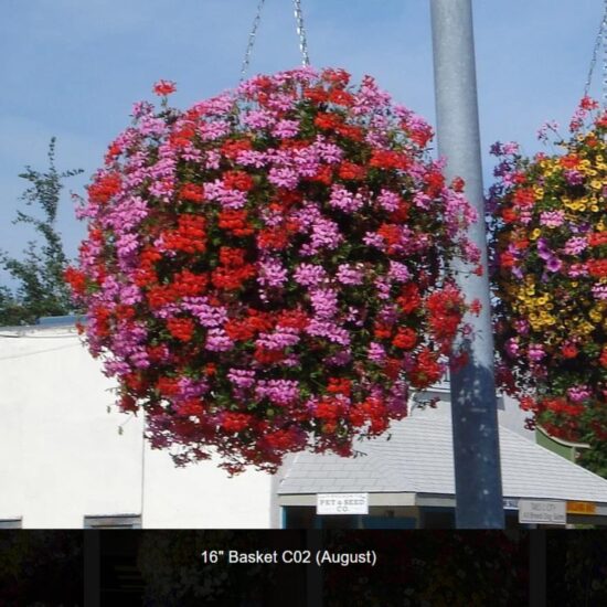 Moss Basket Flower Baskets