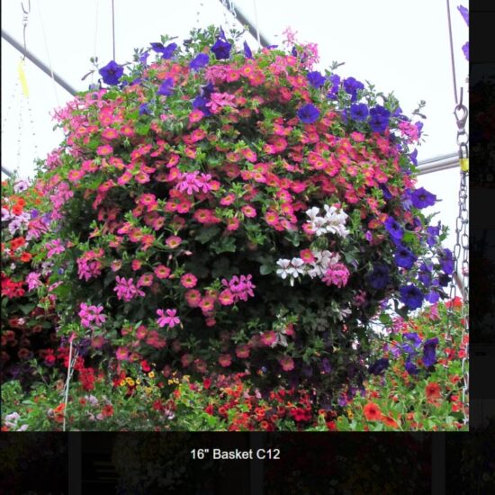 18 inch moss flower basket-112a