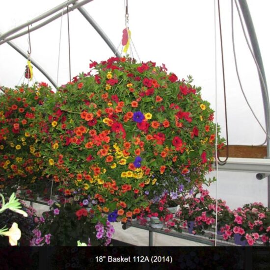 18 inch moss flower basket-112a-2014