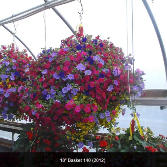 18 inch moss flower basket-140-2012