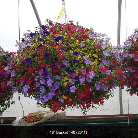 18 inch moss flower basket-140