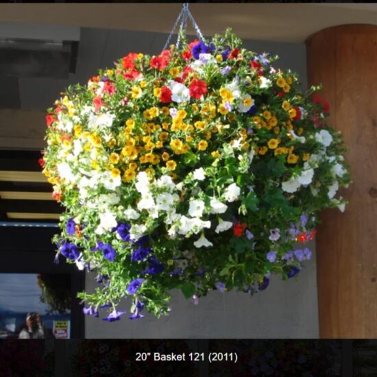 20 inch Flower Baskets