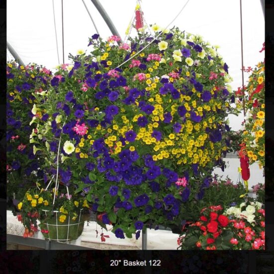 20 inch moss flower basket-122