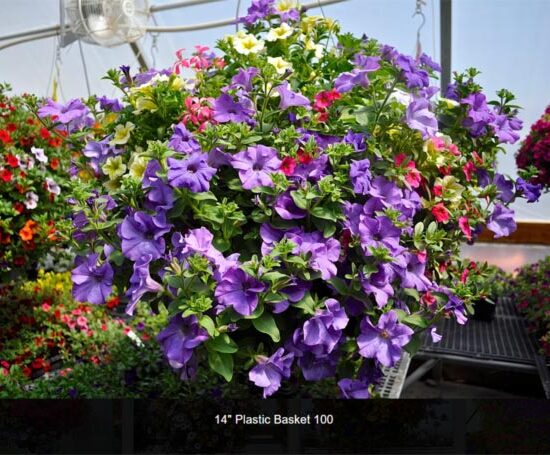 14 inch plastic flower basket-100