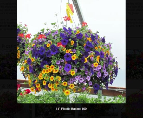 14 inch plastic flower basket-109