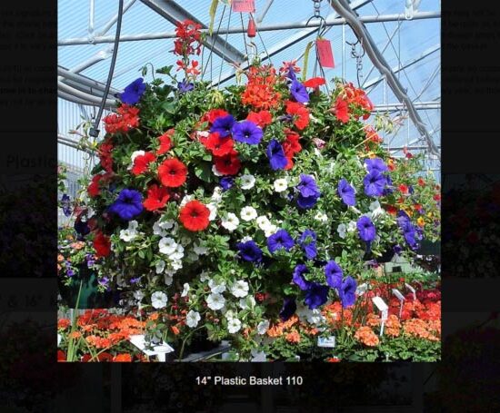 14 inch plastic flower basket-110
