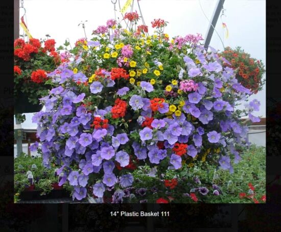14 inch plastic flower basket--111