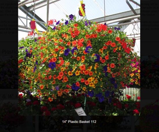 14 inch plastic flower basket-112