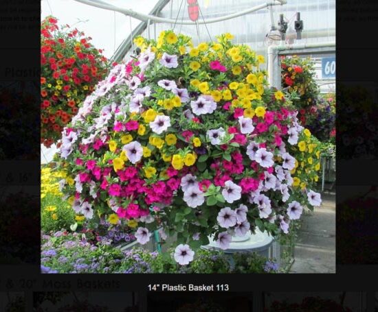 14 inch plastic flower basket-113
