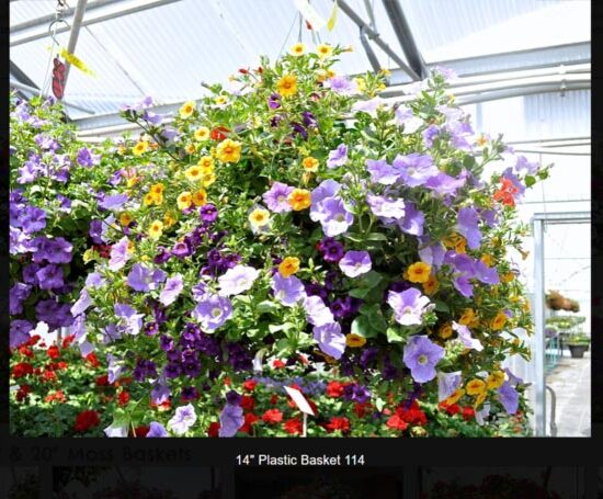 14 inch plastic flower basket-114