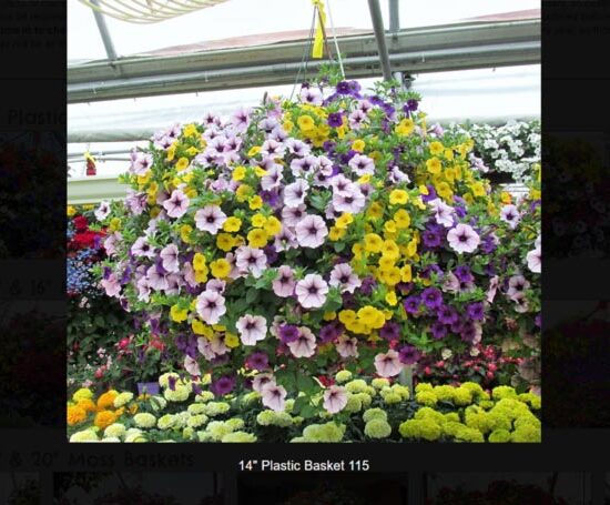 14 inch plastic flower basket-115