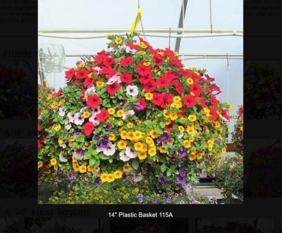 Plastic Flower Baskets