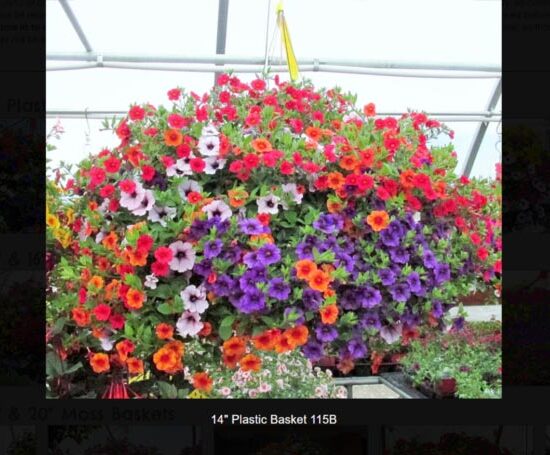 14 inch plastic flower basket-115b