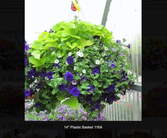 14 inch plastic flower basket-116a