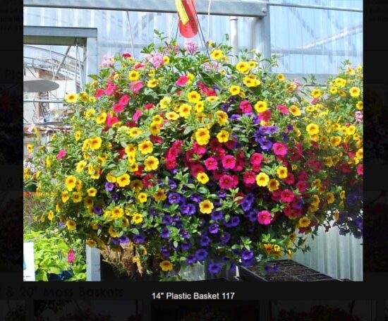 14 inch plastic flower basket-117