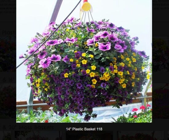 14 inch plastic flower basket-118