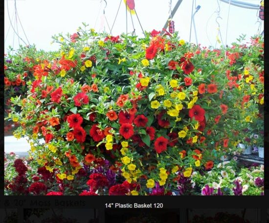 14 inch plastic flower basket-120
