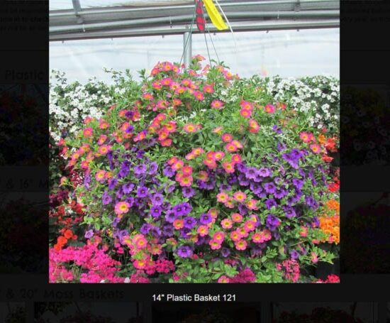 14 inch plastic flower basket-121
