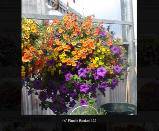 14 inch plastic flower basket-122
