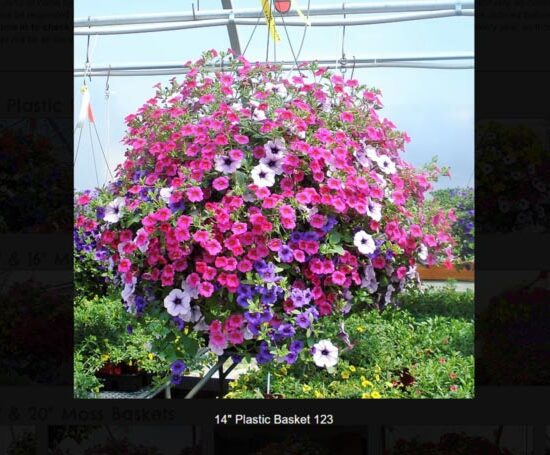 14 inch plastic flower basket-123