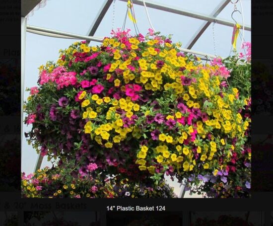 14 inch plastic basket-124