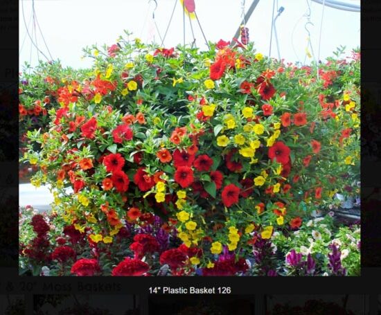14 inch plastic flower basket-126