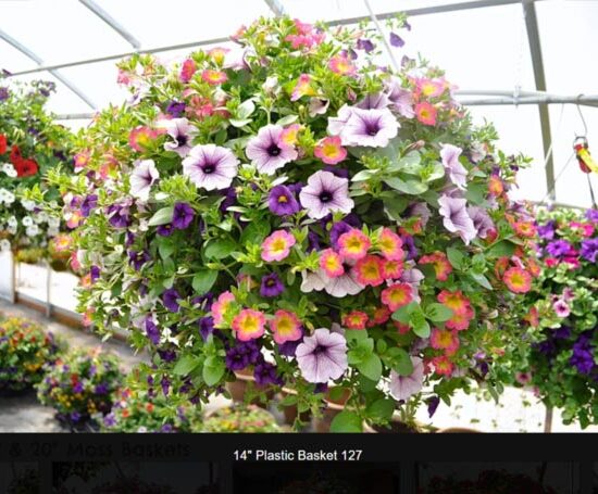 14 inch plastic flower basket-127