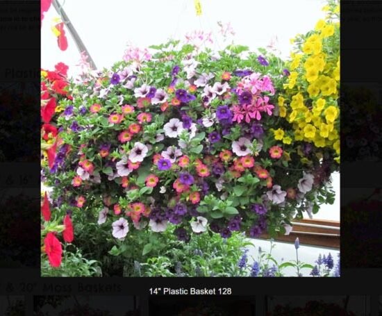 14 inch plastic flower basket-128