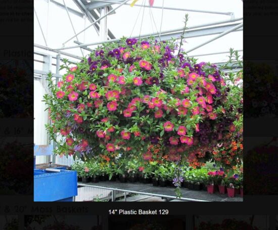 14 inch plastic flower basket-129