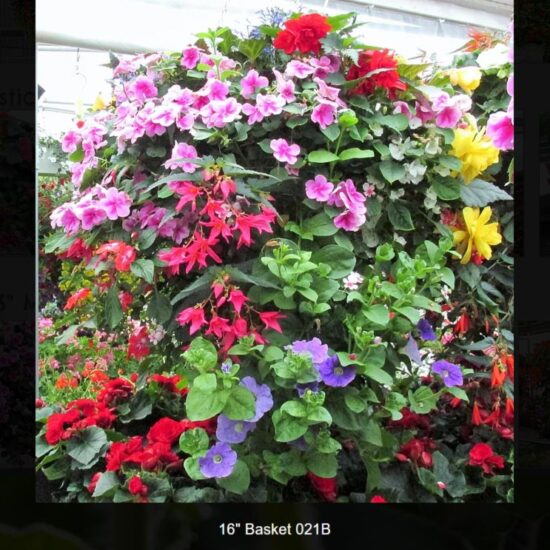 16 inch moss basket-shade-021b