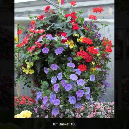 16 inch moss basket-shade-160